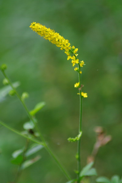 b0052108_23283375.jpg