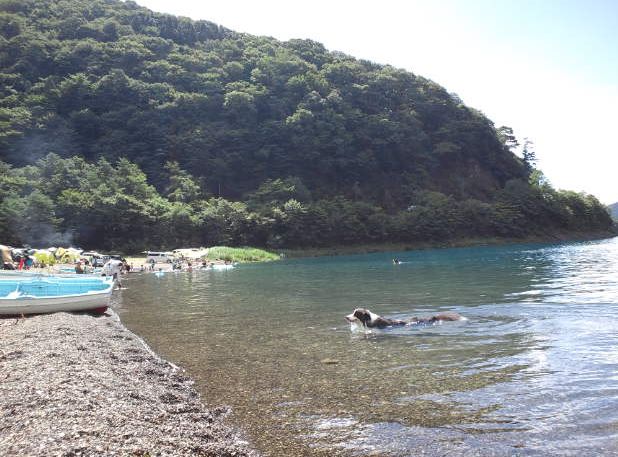 d0224111_15161536.jpg