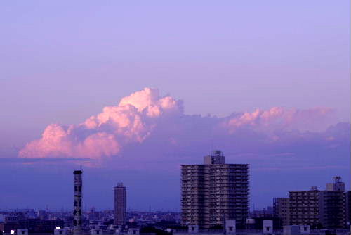 f0212217_22342946.jpg