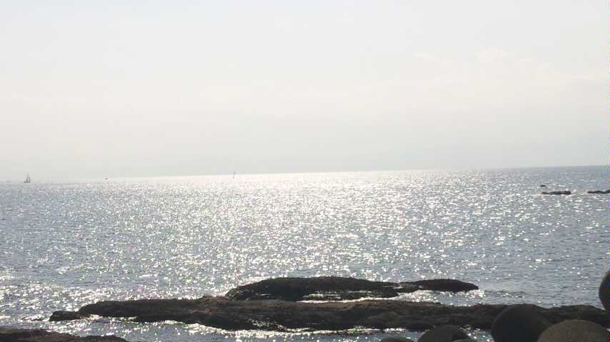 d0085018_23282479.jpg
