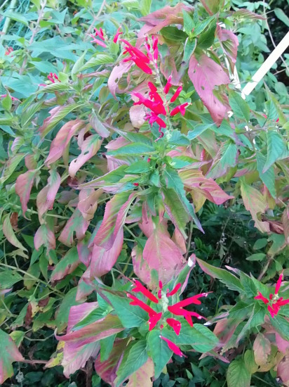 a0125419_07070548.jpg