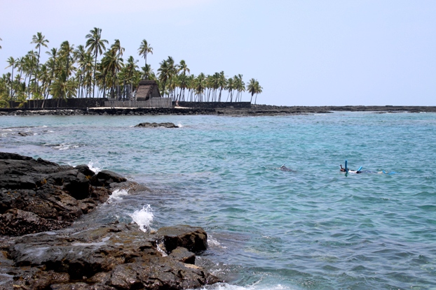 f0151222_2317174.jpg