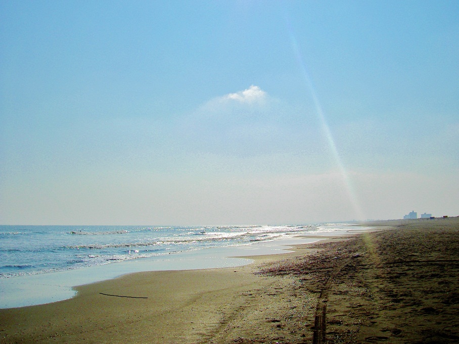 b0252727_5131382.jpg