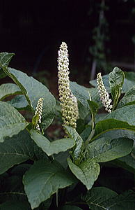 c0104227_16463511.jpg