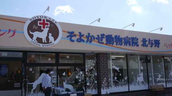 f0222527_23241272.jpg