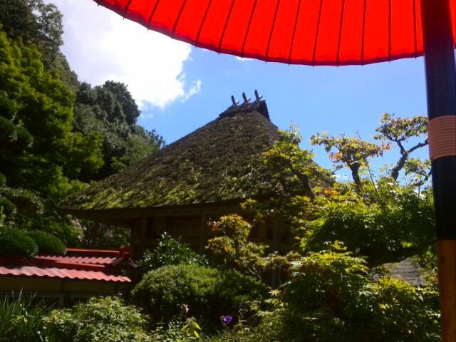 f0111128_23394192.jpg