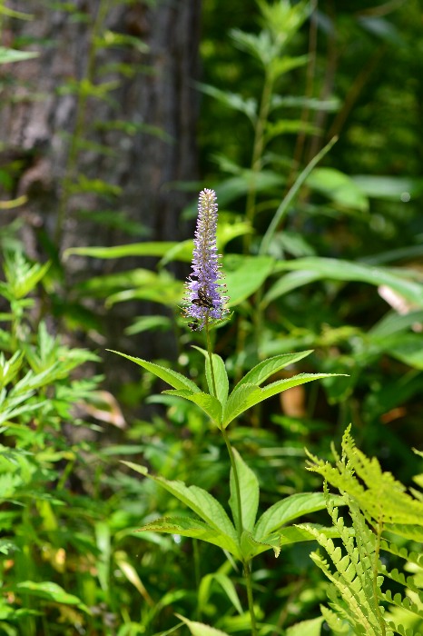 b0236334_21515031.jpg