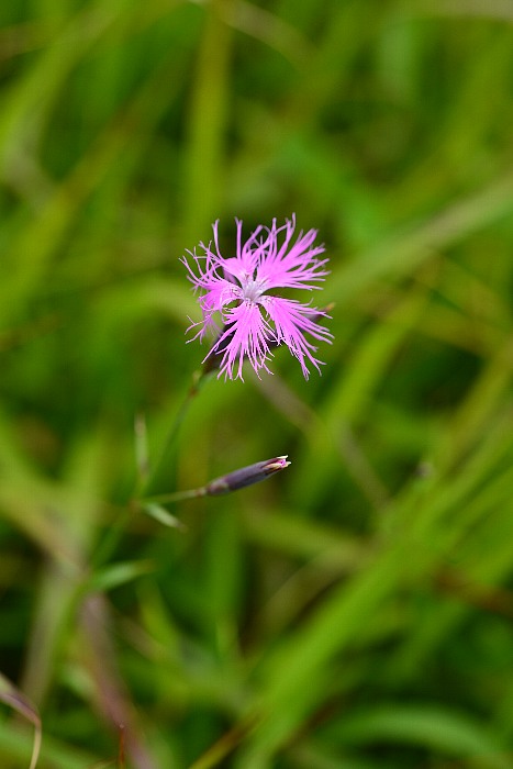b0236334_2154656.jpg