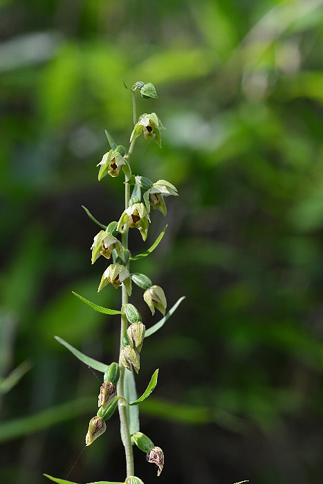 b0236334_21552920.jpg