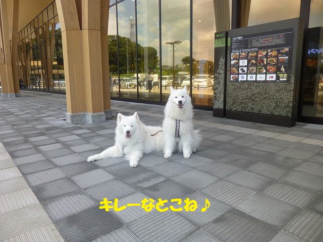 e0196135_2112469.jpg