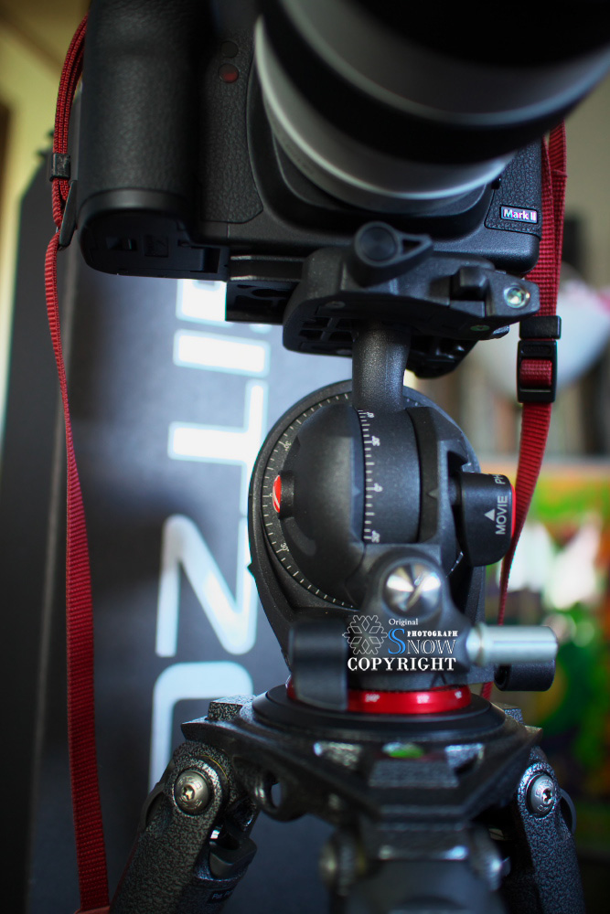 Canon EOS-M & EF M22㎜ F2 STM