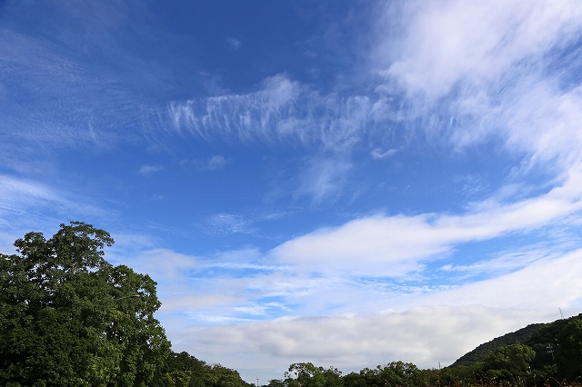 a0242438_18324431.jpg