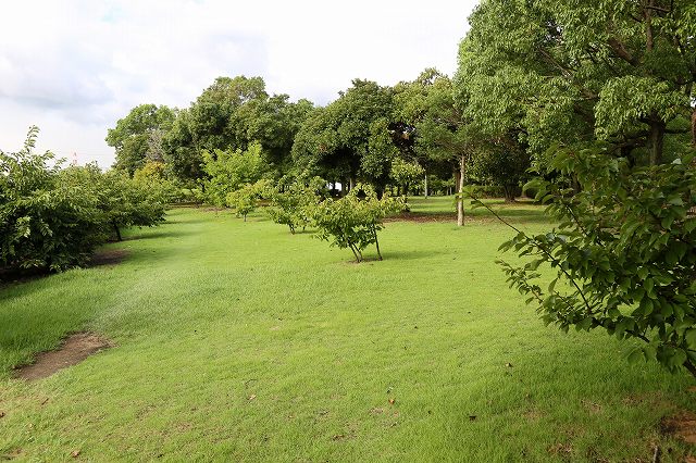 a0242438_18324910.jpg