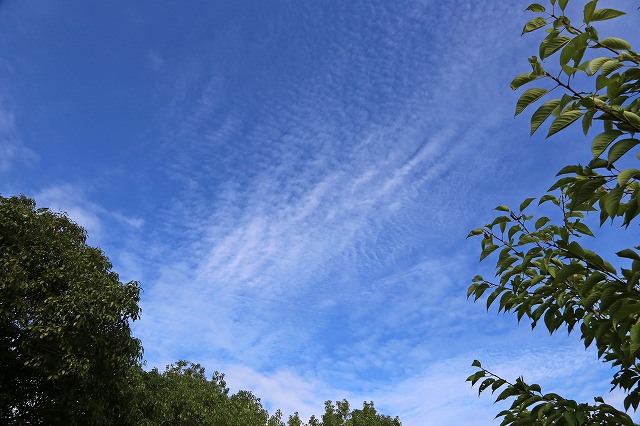 a0242438_18325468.jpg