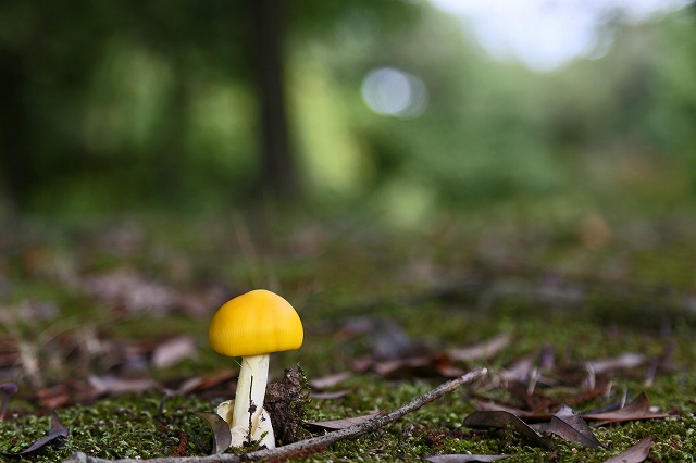a0242438_18331458.jpg