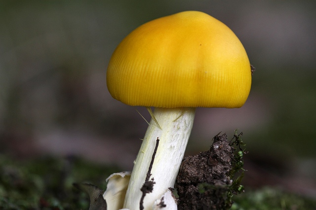 a0242438_18331991.jpg