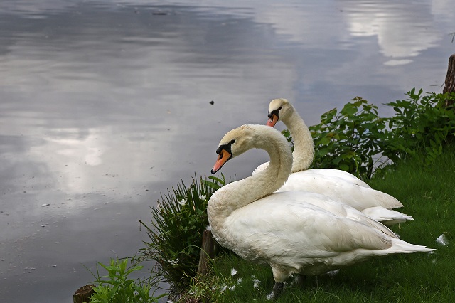 a0242438_18344100.jpg