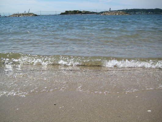 f0247039_15233424.jpg