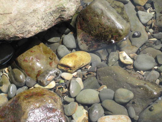 f0247039_15264457.jpg