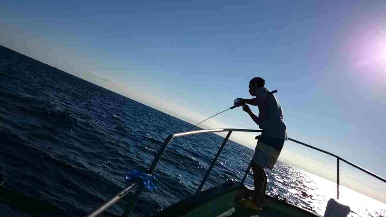 a0248152_1853913.jpg
