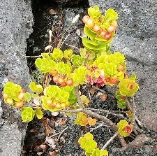 b0126453_513632.jpg