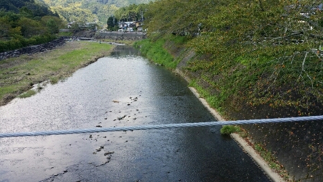 f0046854_2005689.jpg