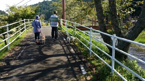 f0046854_2012411.jpg