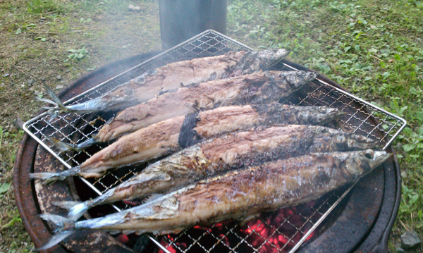 b0320758_10224007.jpg