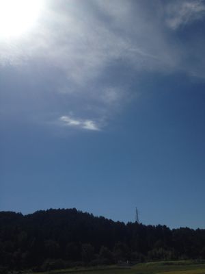 e0333569_0799.jpg