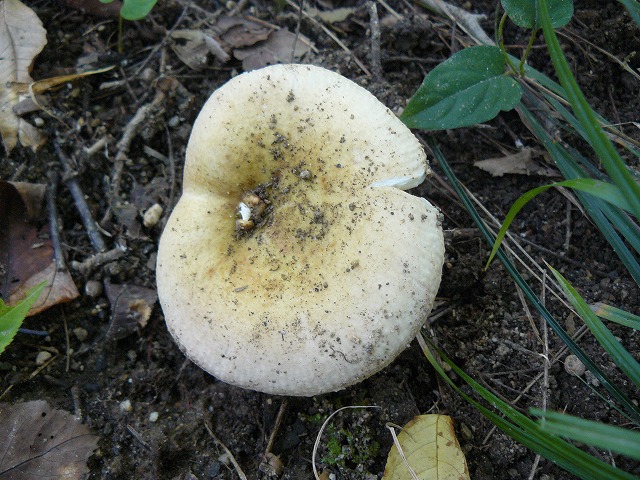 d0019074_17442311.jpg