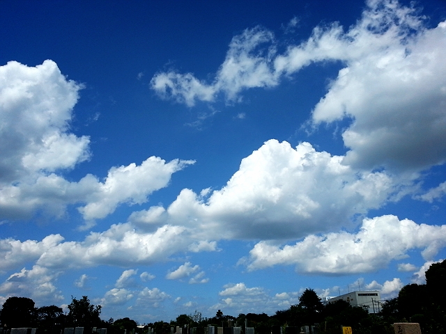 c0096685_19523832.jpg