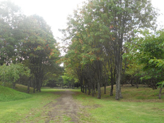 e0148889_16153731.jpg