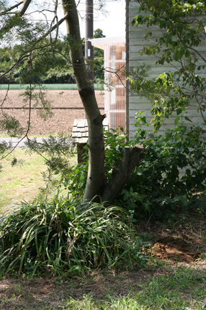 d0100095_12554742.jpg