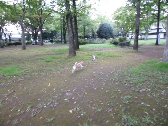 e0025596_11415780.jpg