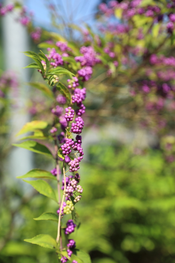 b0275998_14412949.jpg