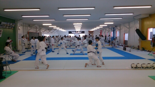 e0238098_205540.jpg