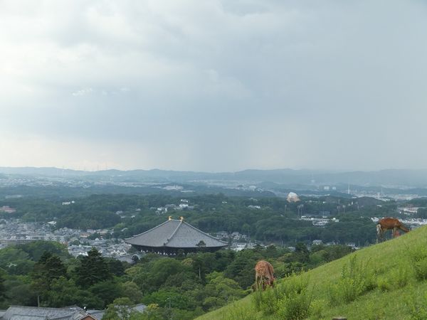 f0120102_177034.jpg