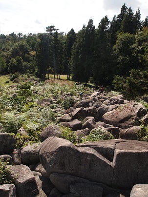 a0240108_2051488.jpg