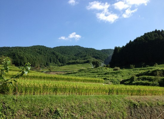 f0221708_1543584.jpg