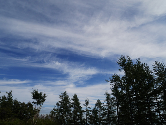 f0302208_13314022.jpg