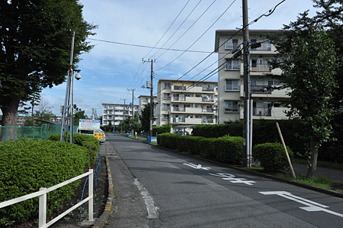 a0278809_1134396.gif