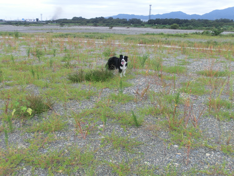 b0239909_203615100.jpg