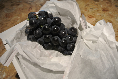 f0179209_9293444.jpg
