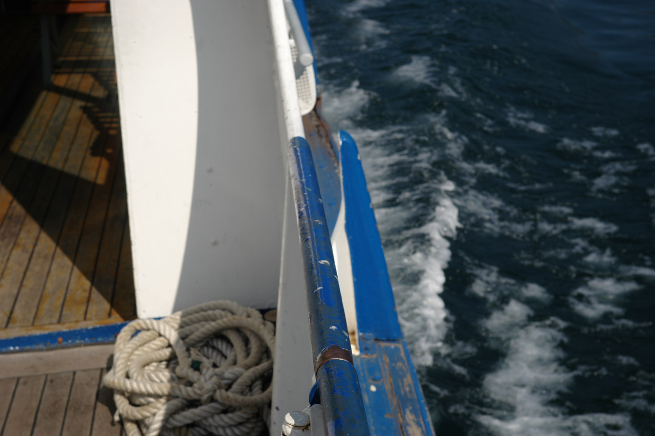 d0104210_435283.jpg
