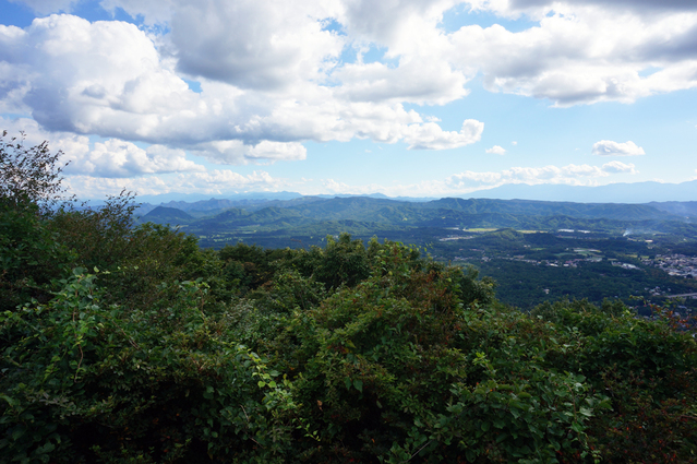 e0136511_021731.jpg
