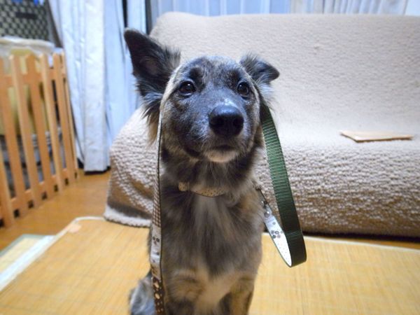 f0329311_2341094.jpg