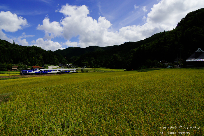 d0309612_039436.jpg