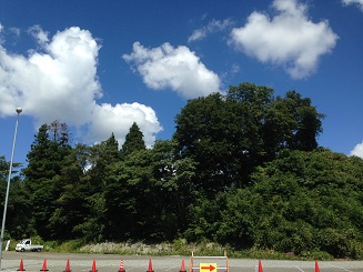 c0046316_2158764.jpg