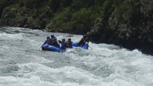 f0248120_2048174.gif