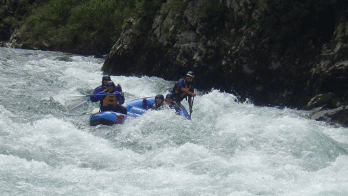 f0248120_20483393.gif